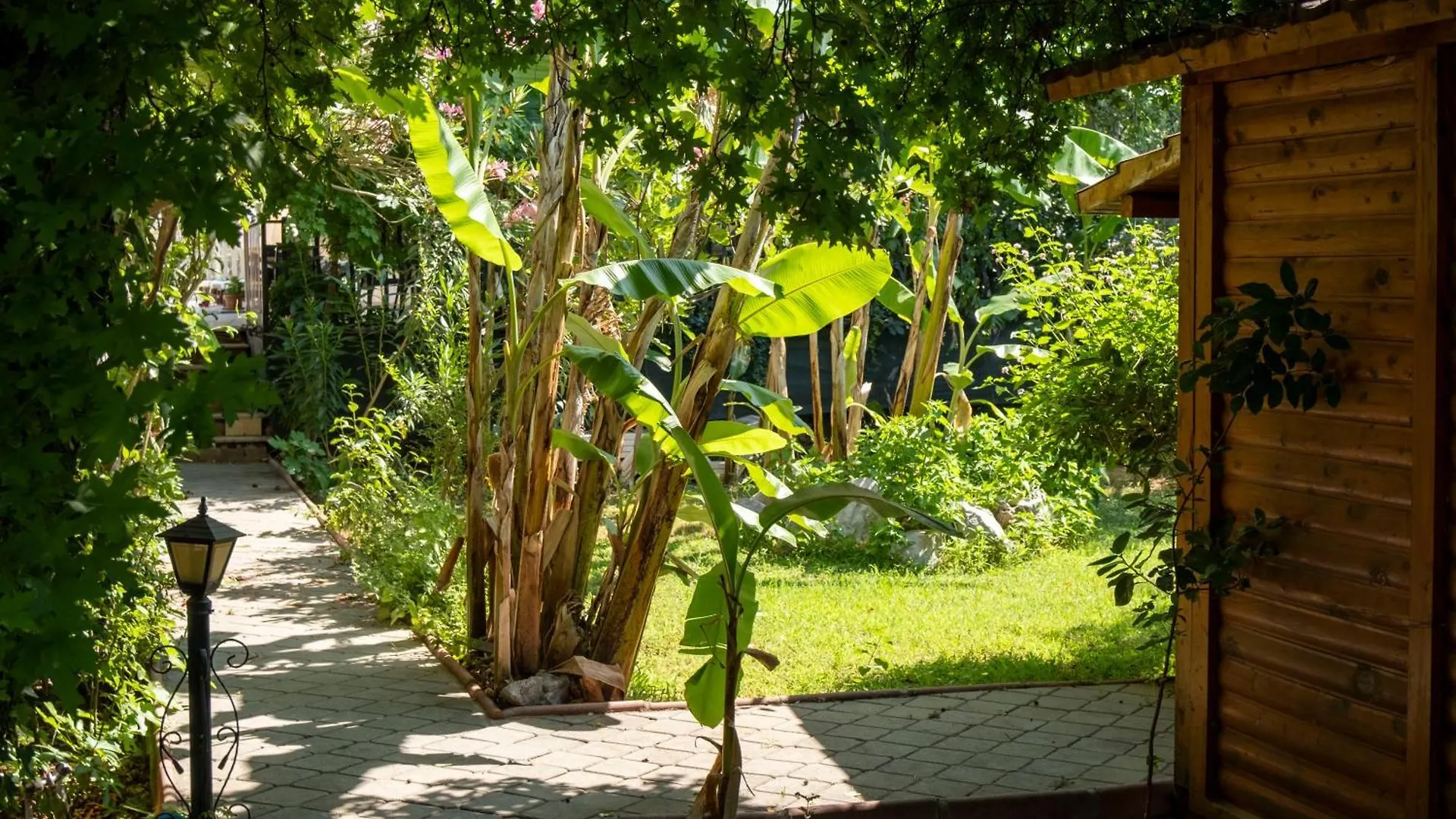 Guenes Boutique Hotel - Oludeniz Fethiye